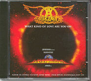 Aerosmith - What Kind Of Love Are You On